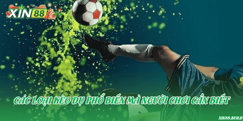 Các loại kèo dụ phổ biến mà người chơi cần biết