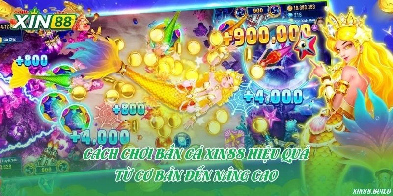 Cách chơi bắn cá Xin88 hiệu quả