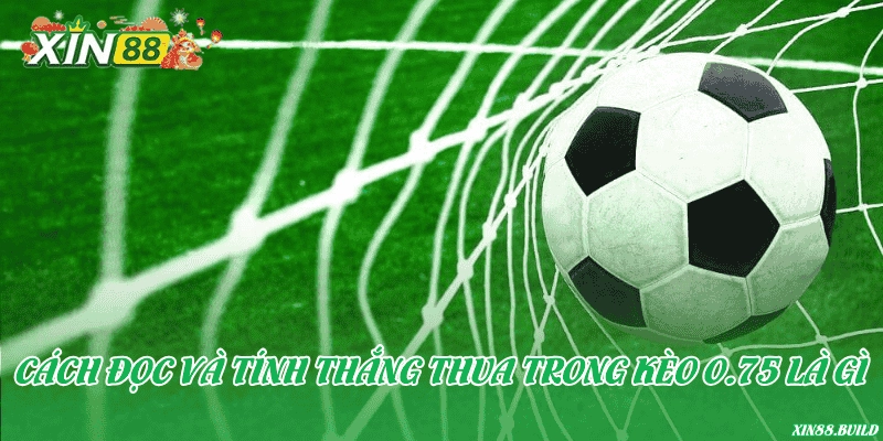 Cách đọc và tính thắng thua trong kèo 0.75 là gì