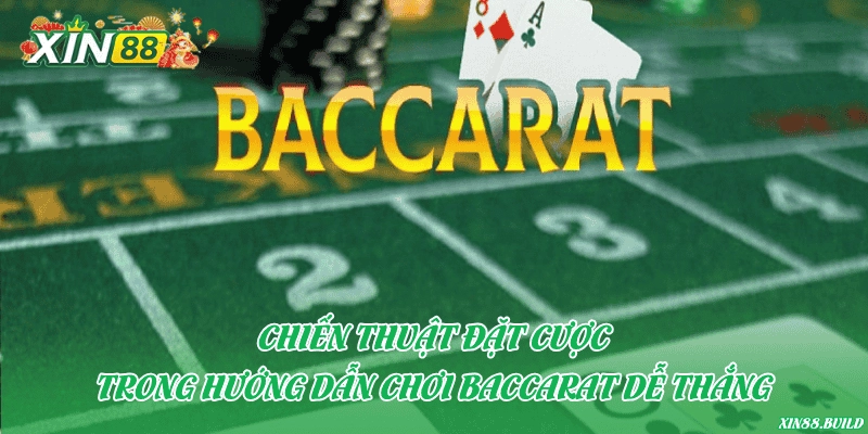 Chiến thuật đặt cược trong hướng dẫn chơi Baccarat dễ thắng