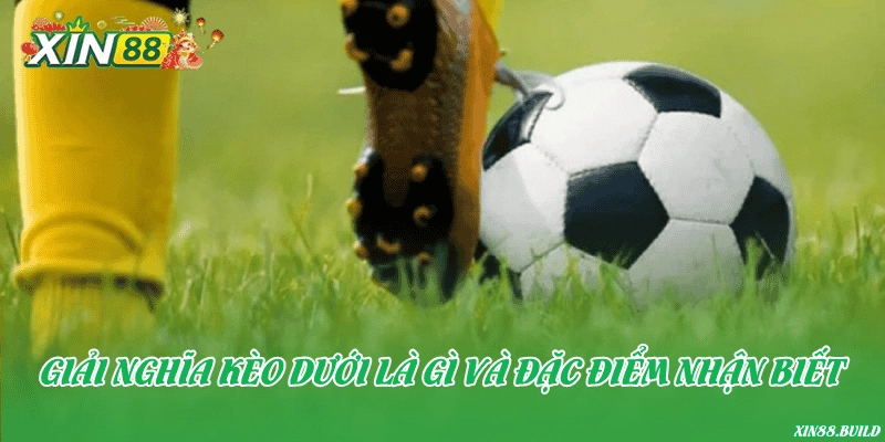 Giải nghĩa kèo dưới là gì và đặc điểm nhận biết