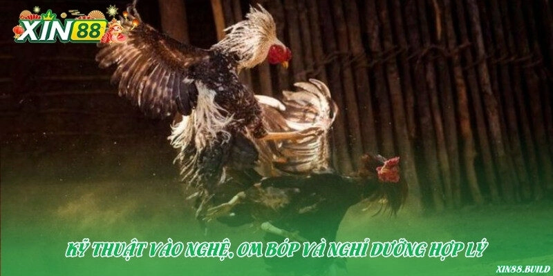 Kỹ thuật vào nghệ, om bóp và nghỉ dưỡng hợp lý