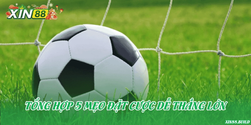 Tổng hợp 5 mẹo đặt cược dễ thắng lớn